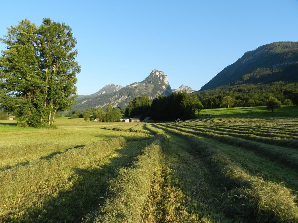 Gasthof Wiesenhof Strobl Zewnętrze zdjęcie