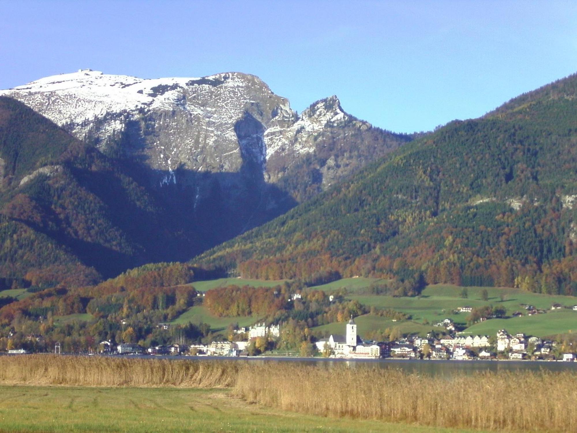 Gasthof Wiesenhof Strobl Zewnętrze zdjęcie