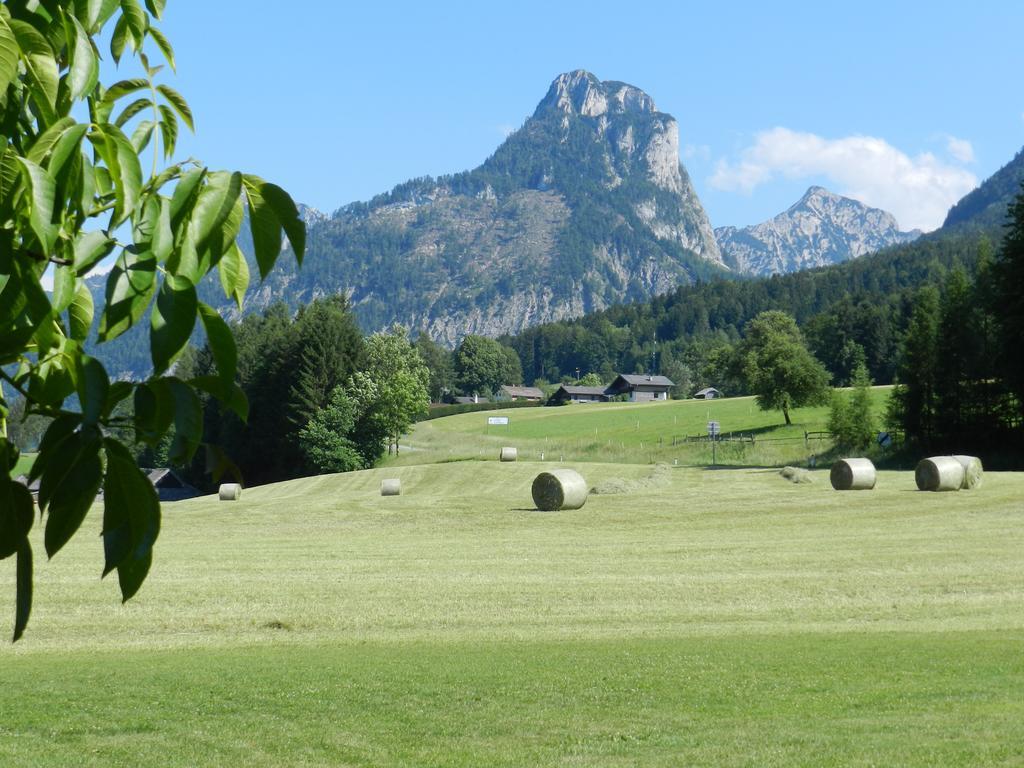 Gasthof Wiesenhof Strobl Zewnętrze zdjęcie